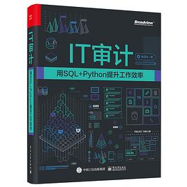 《IT审计：用SQL+Python提升工作效率》PDF完整版下载