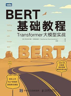 《BERT基础教程 Transformer大模型实战》PDF完整版下载