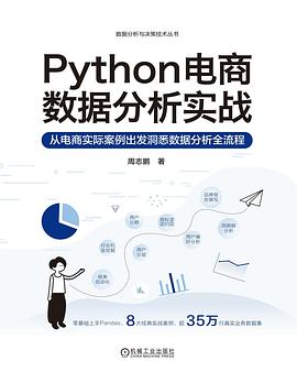 《Python电商数据分析实战》PDF完整版下载
