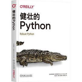 《健壮的Python》PDF完整版下载