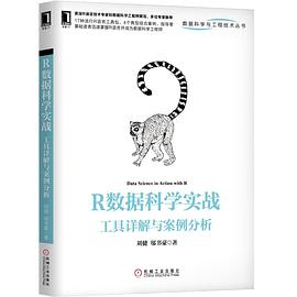 《R数据科学实战：工具详解与案例分析》PDF完整版下载
