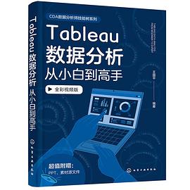 《Tableau数据分析从小白到高手》PDF完整版下载